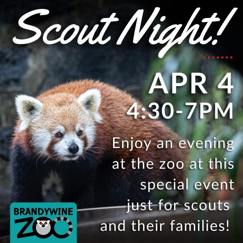 Instagram post from brandywinezoo. This post is in position 1.