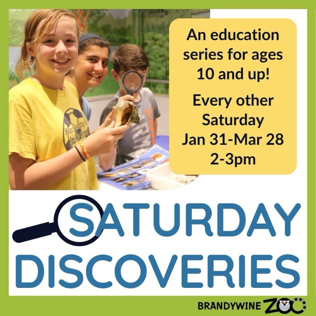 Instagram post from brandywinezoo. This post is in position 3.