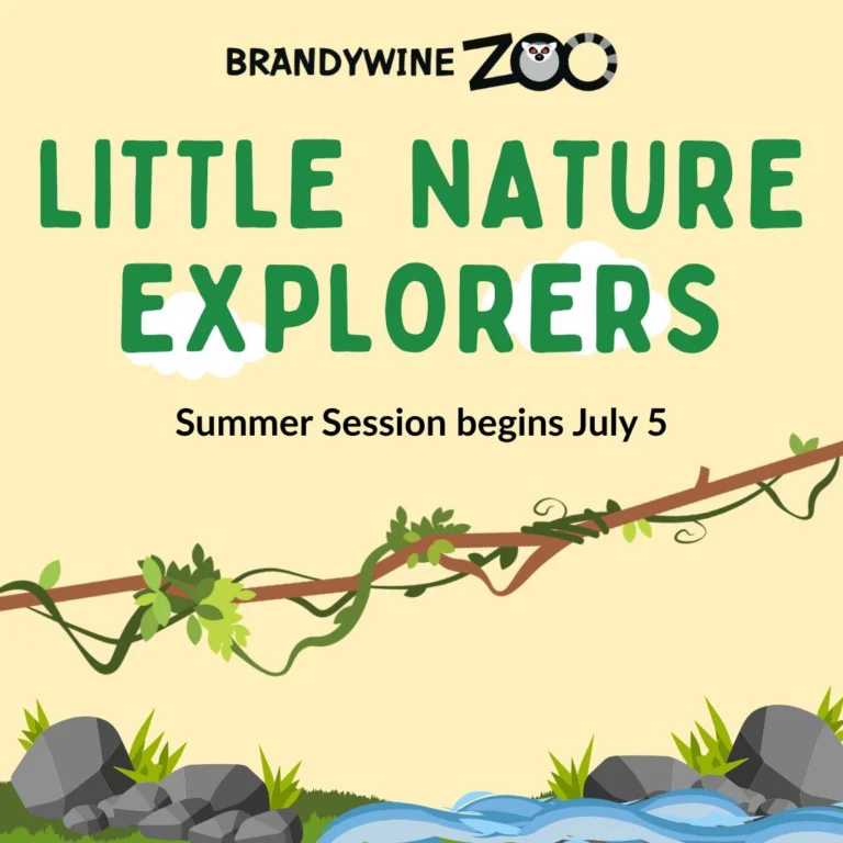 Instagram post from brandywinezoo. This post is in position 2.