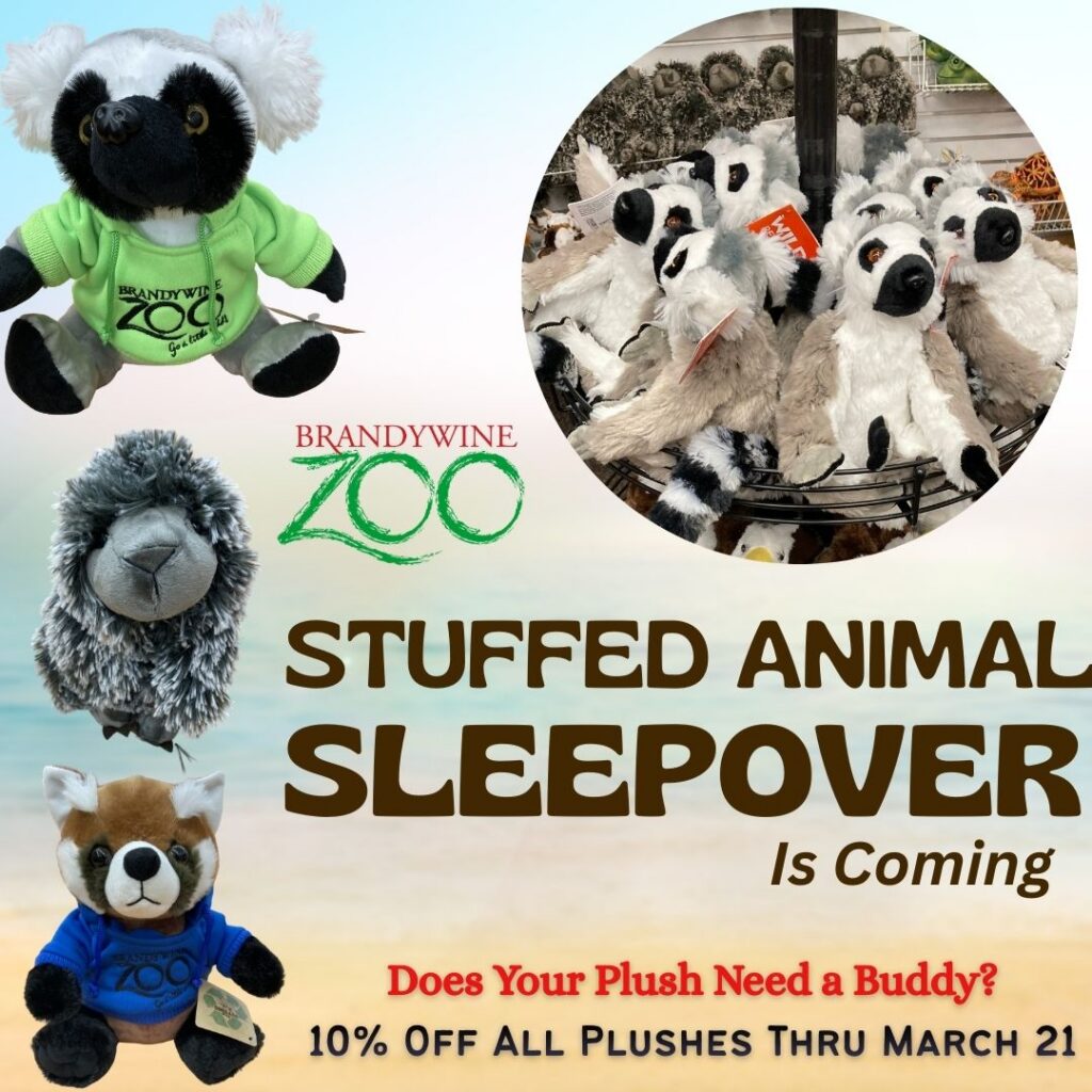 Instagram post from brandywinezoo. This post is in position 1.