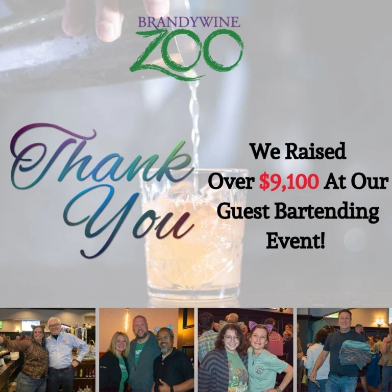 Instagram post from brandywinezoo. This post is in position 2.