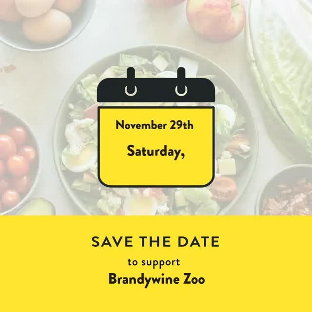 Instagram post from brandywinezoo. This post is in position 2.