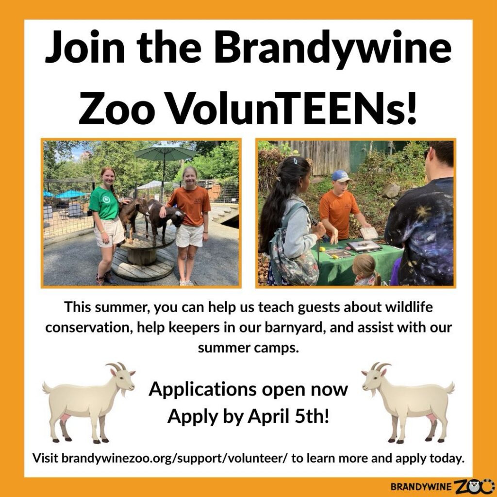 Instagram post from brandywinezoo. This post is in position 3.