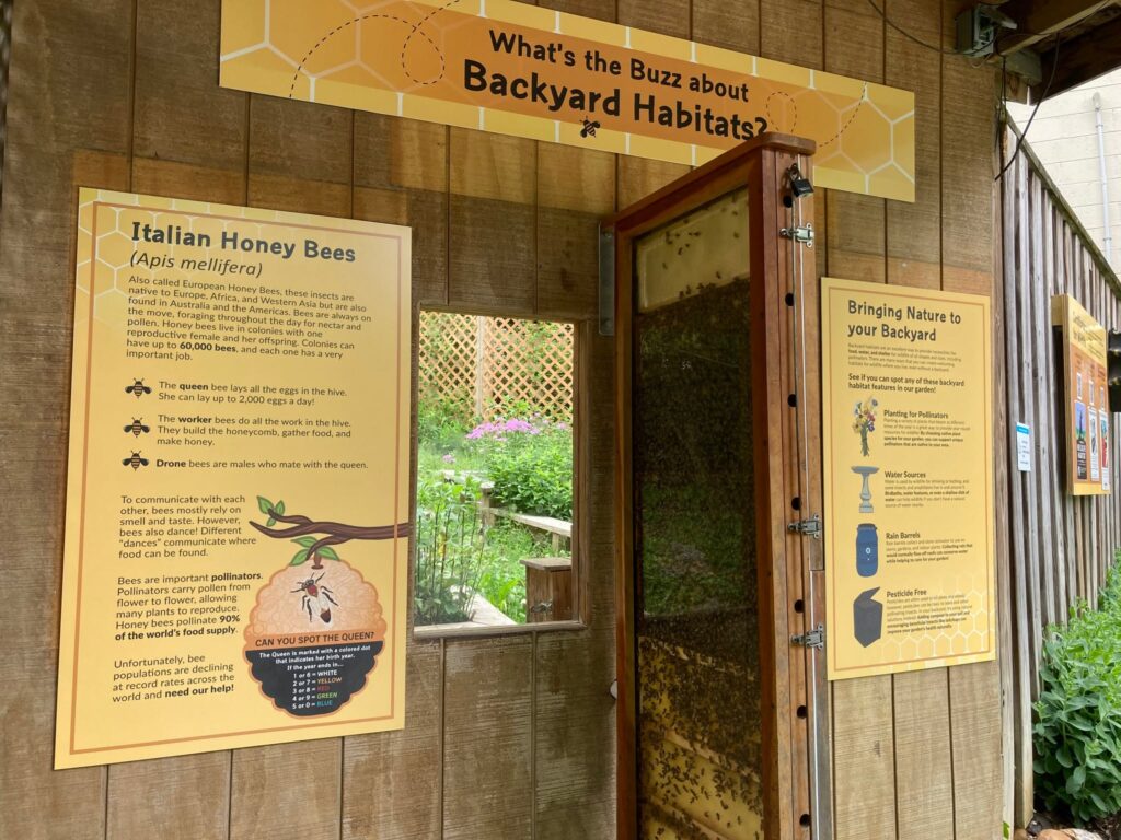Instagram post from brandywinezoo. This post is in position 3.