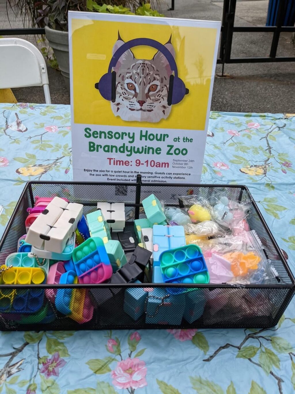 Instagram post from brandywinezoo. This post is in position 1.