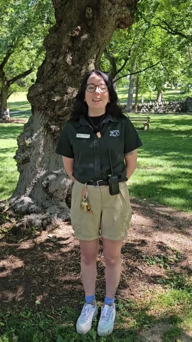 Instagram post from brandywinezoo. This post is in position 1.