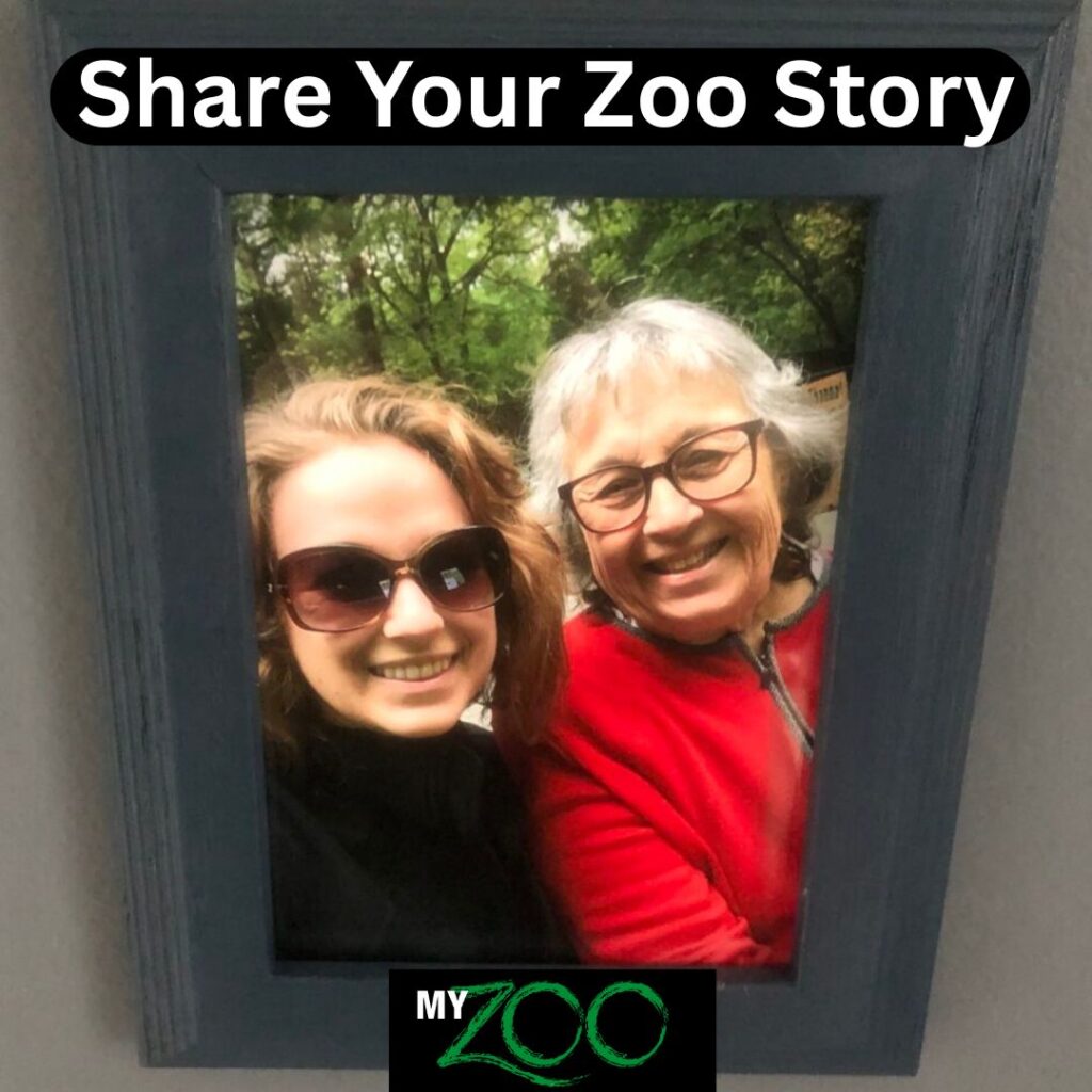 Instagram post from brandywinezoo. This post is in position 2.