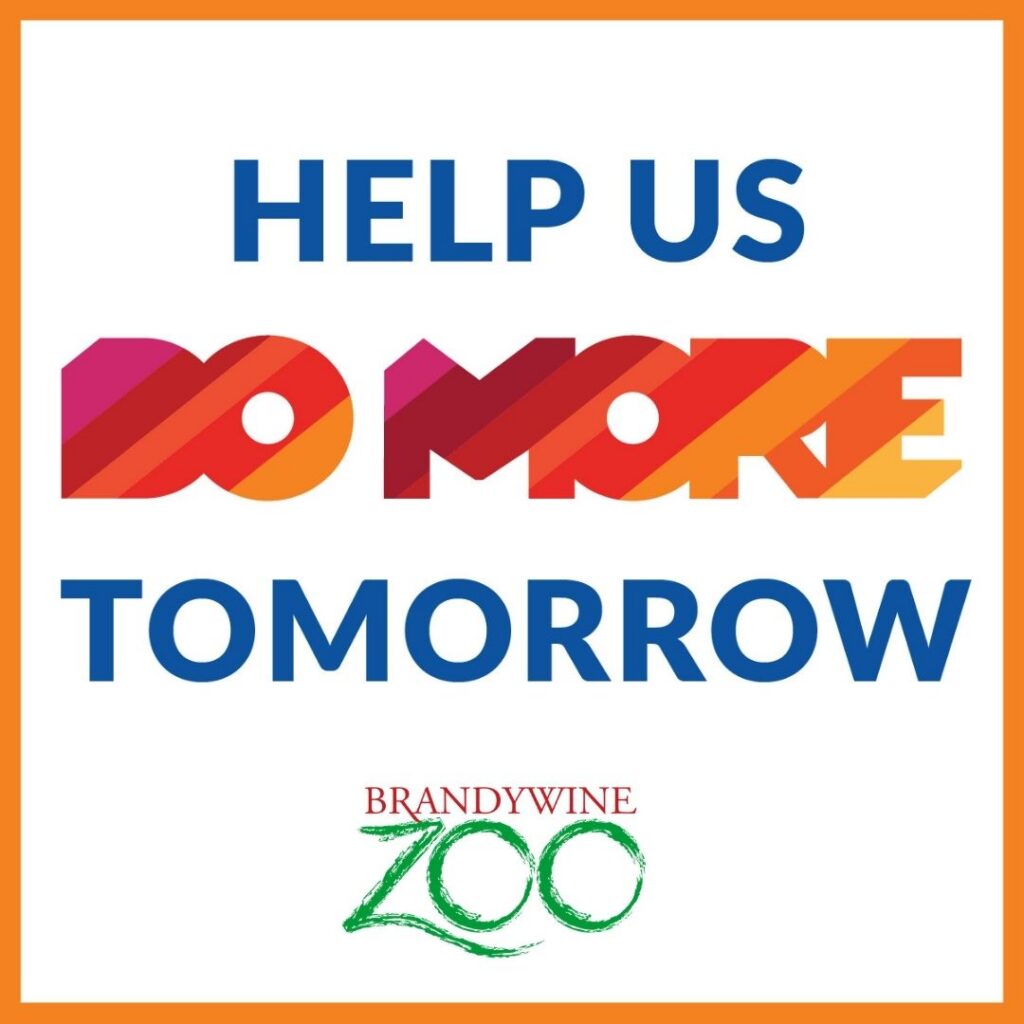 Instagram post from brandywinezoo. This post is in position 1.