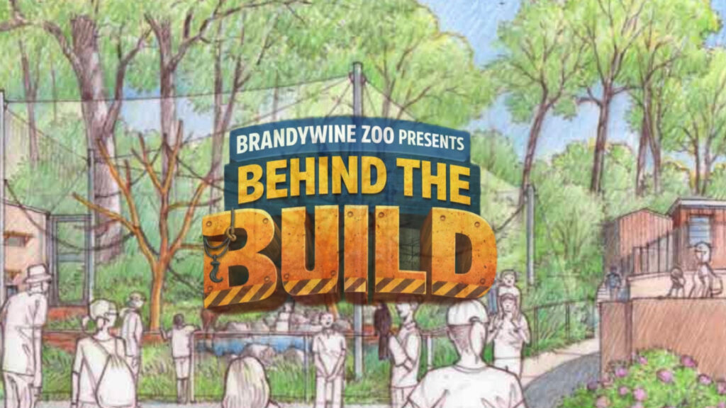 Instagram post from brandywinezoo. This post is in position 2.