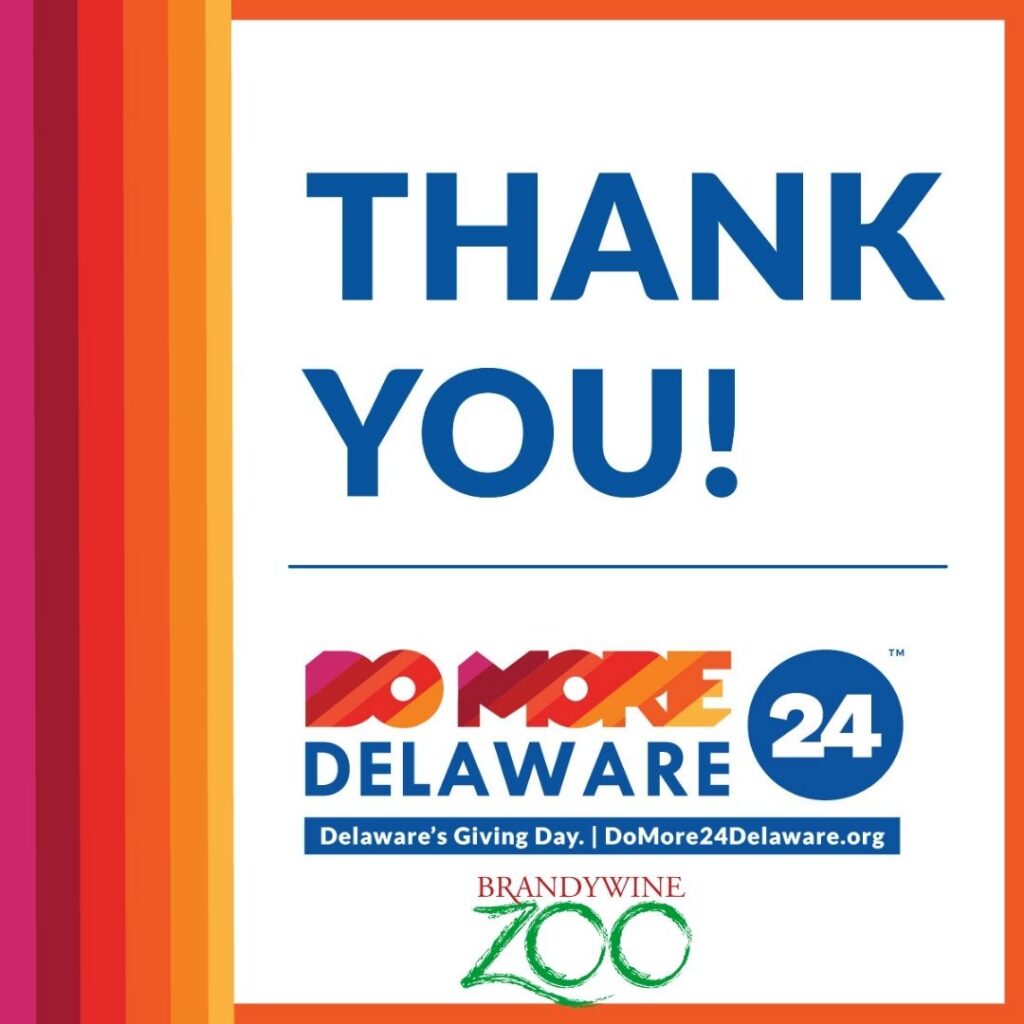 Instagram post from brandywinezoo. This post is in position 1.