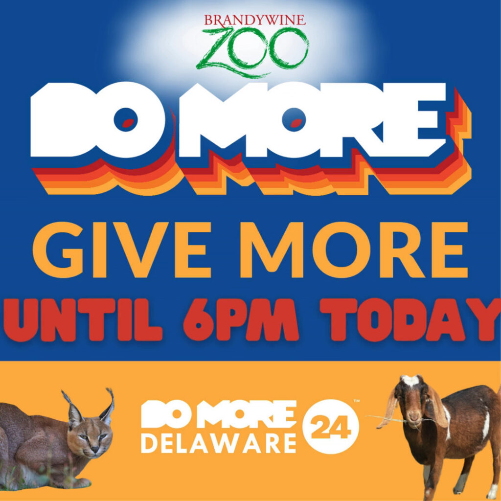 Instagram post from brandywinezoo. This post is in position 2.