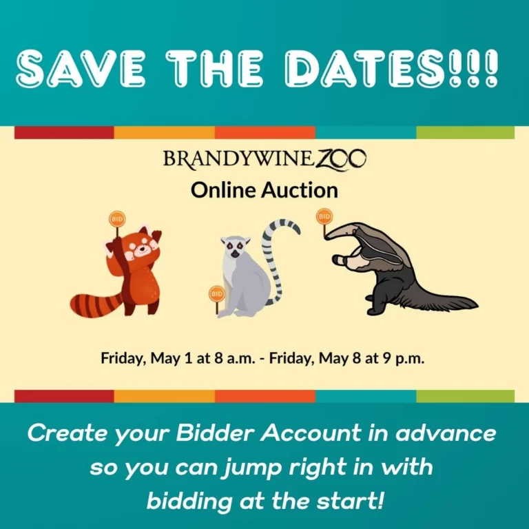 Instagram post from brandywinezoo. This post is in position 1.