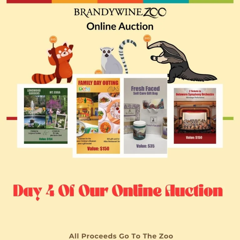 Instagram post from brandywinezoo. This post is in position 1.