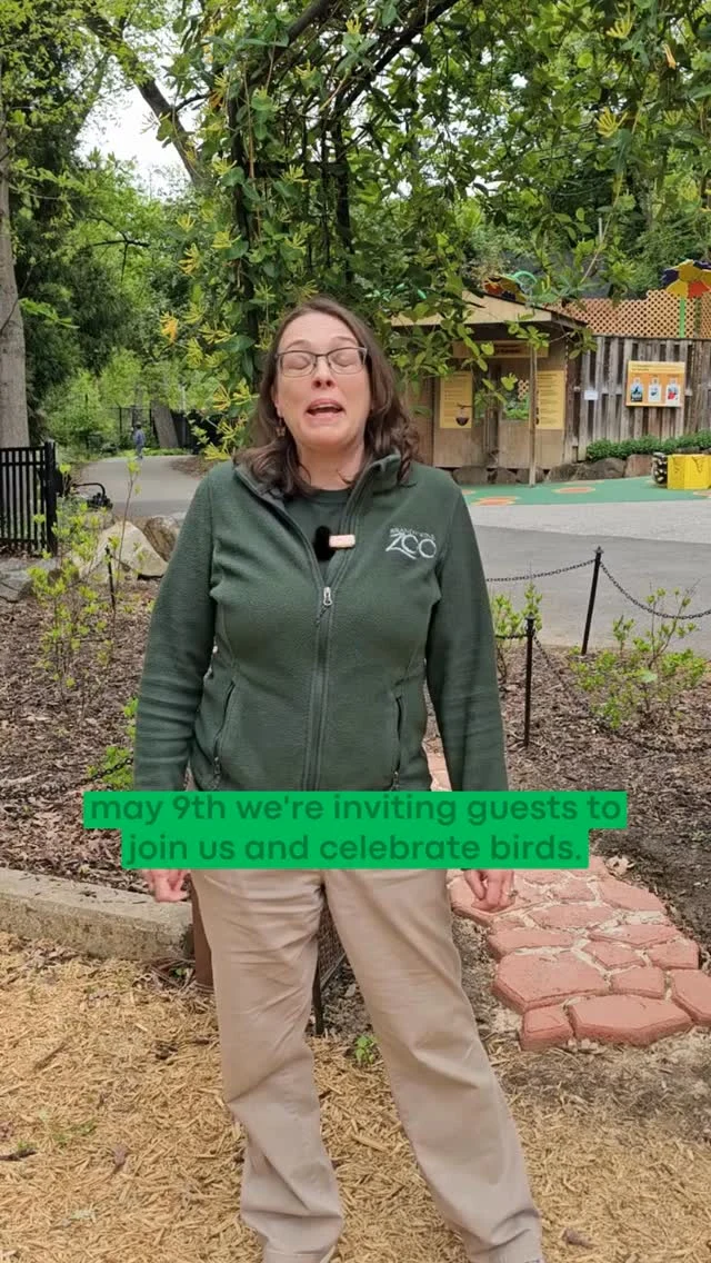 Instagram post from brandywinezoo. This post is in position 1.