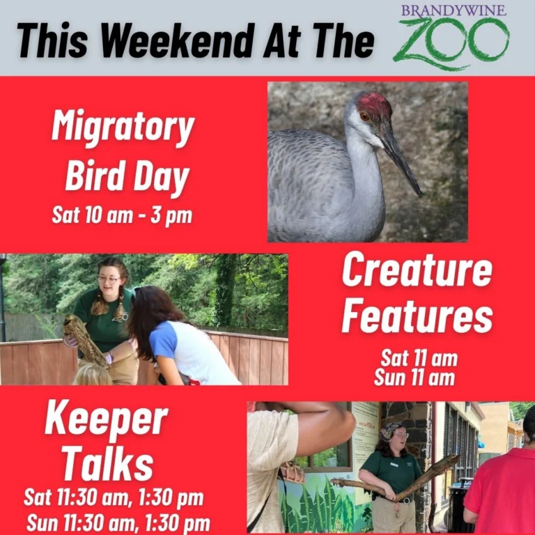 Instagram post from brandywinezoo. This post is in position 1.