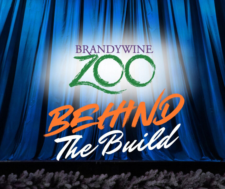 Instagram post from brandywinezoo. This post is in position 1.