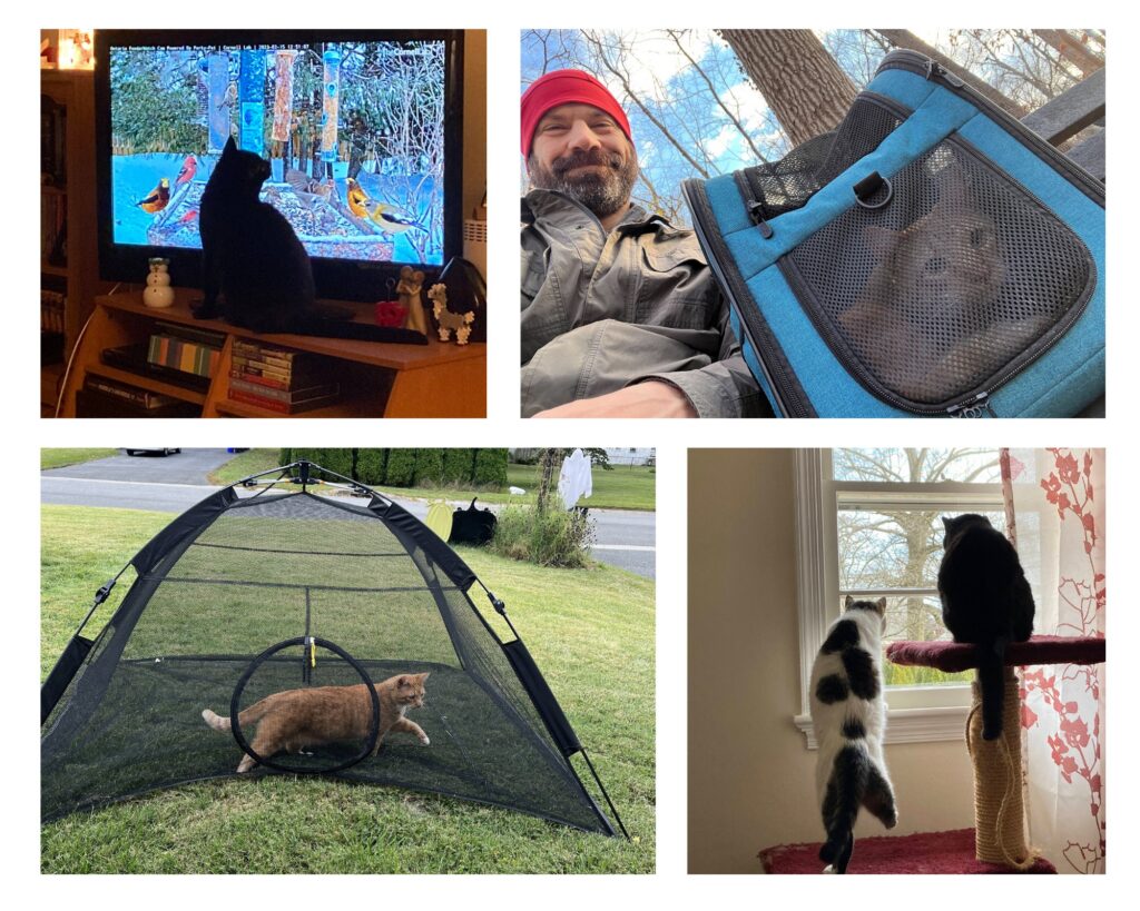 Instagram post from brandywinezoo. This post is in position 1.