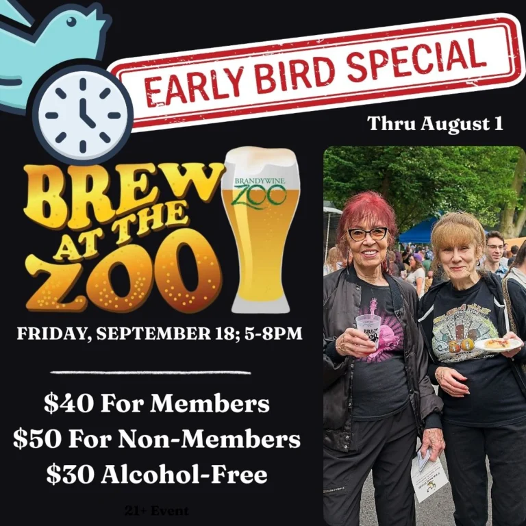 Instagram post from brandywinezoo. This post is in position 2.