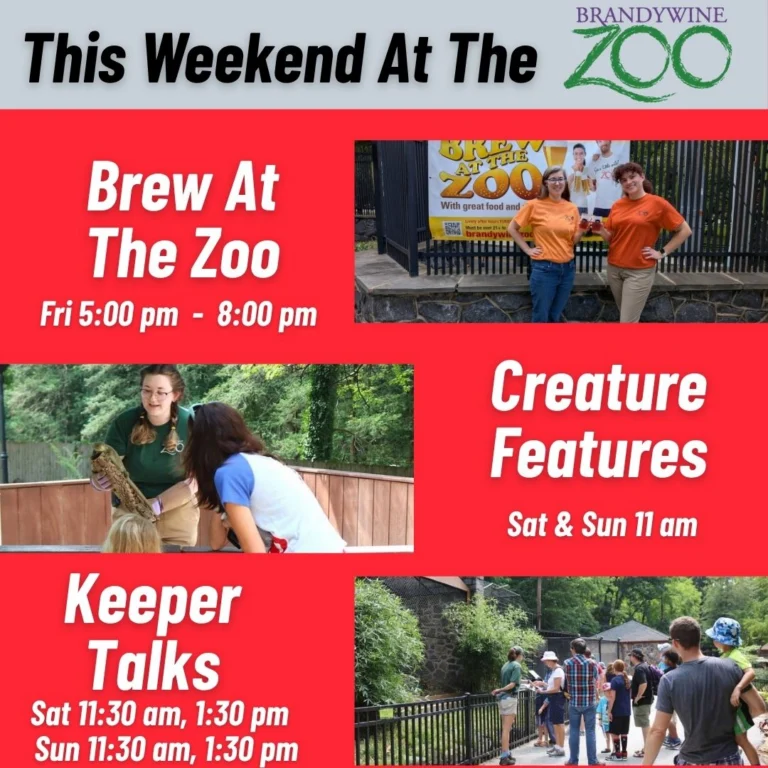 Instagram post from brandywinezoo. This post is in position 3.