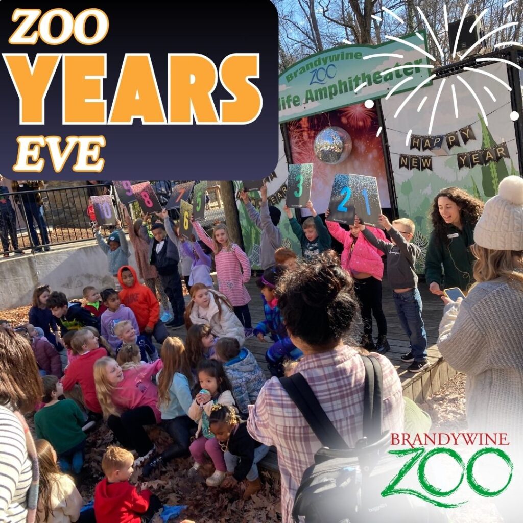 Instagram post from brandywinezoo. This post is in position 1.