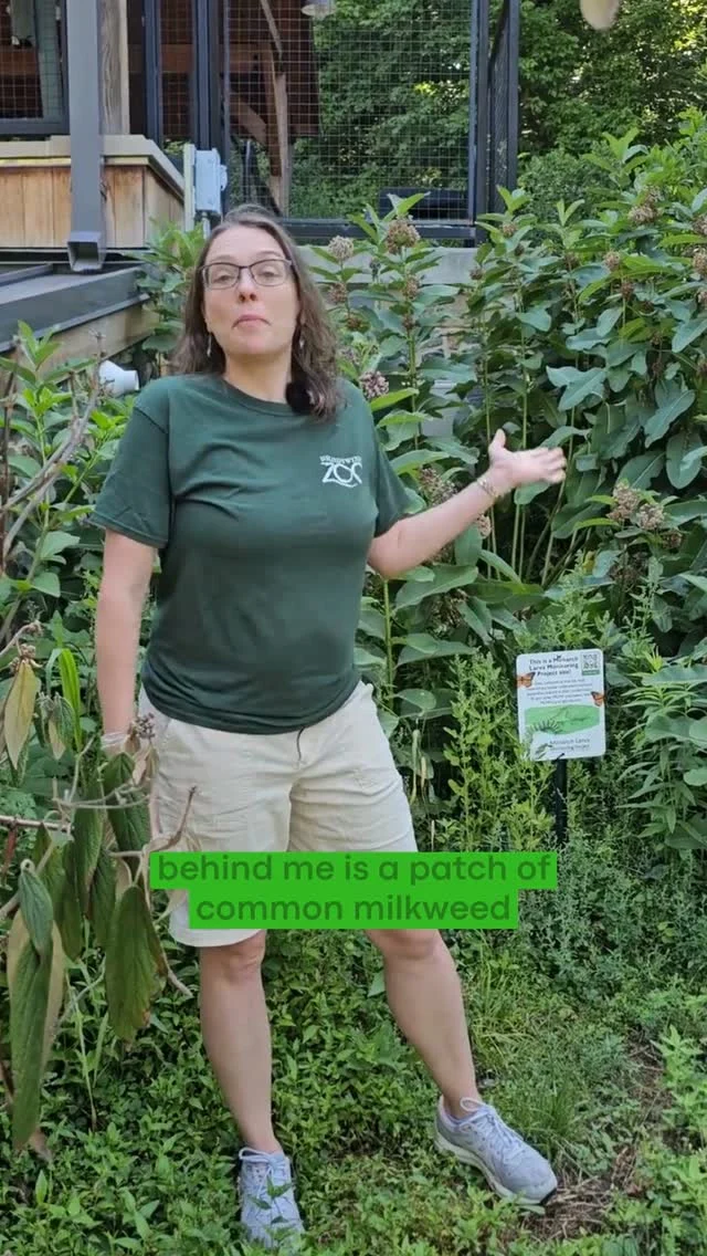 Instagram post from brandywinezoo. This post is in position 1.