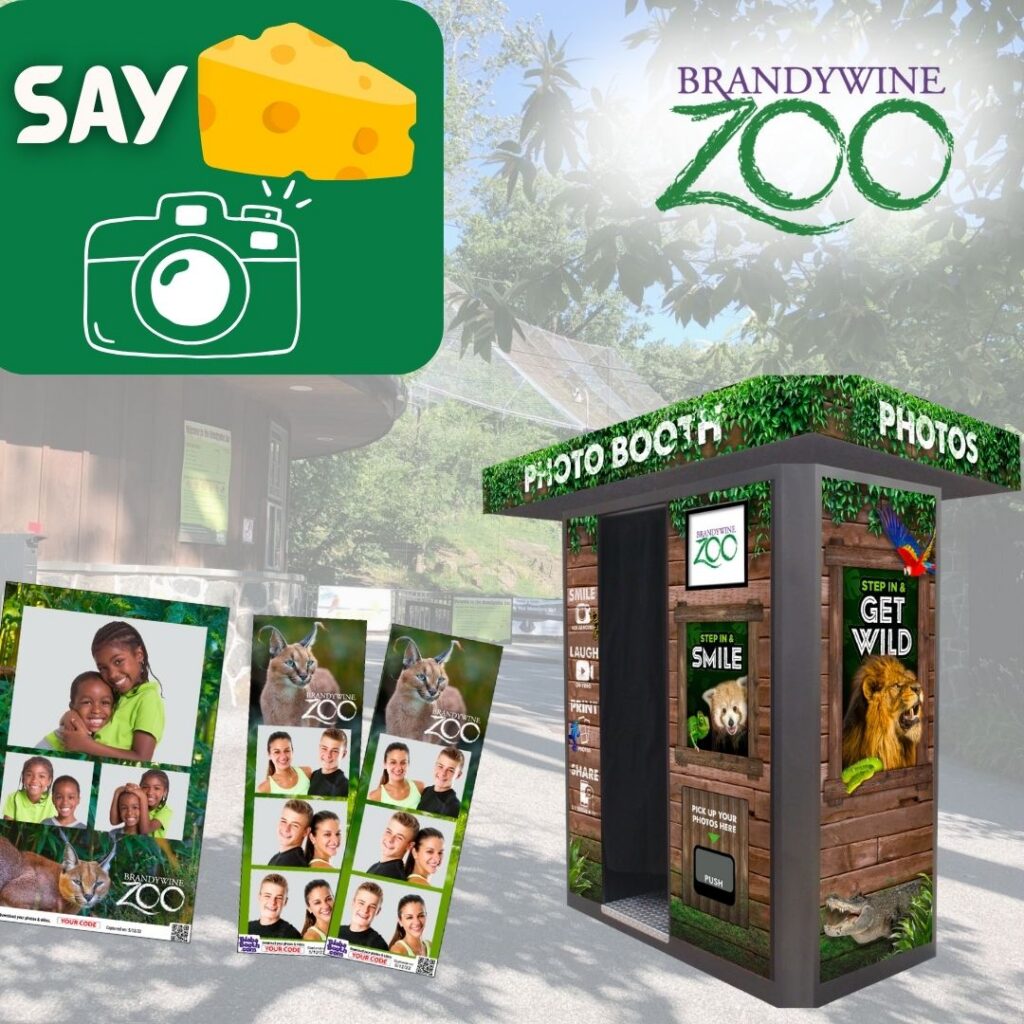 Instagram post from brandywinezoo. This post is in position 1.