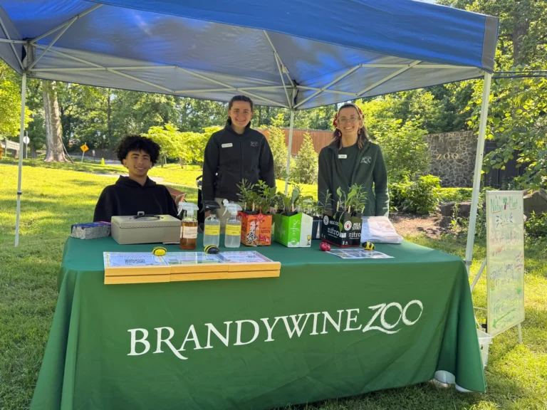 Instagram post from brandywinezoo. This post is in position 3.