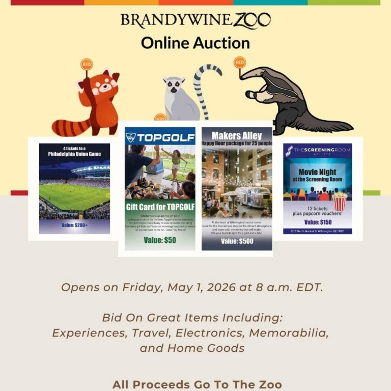 Instagram post from brandywinezoo. This post is in position 1.