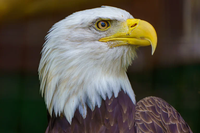 Instagram post from brandywinezoo. This post is in position 2.