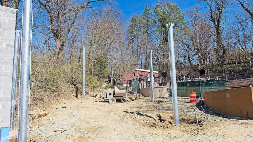 Instagram post from brandywinezoo. This post is in position 1.