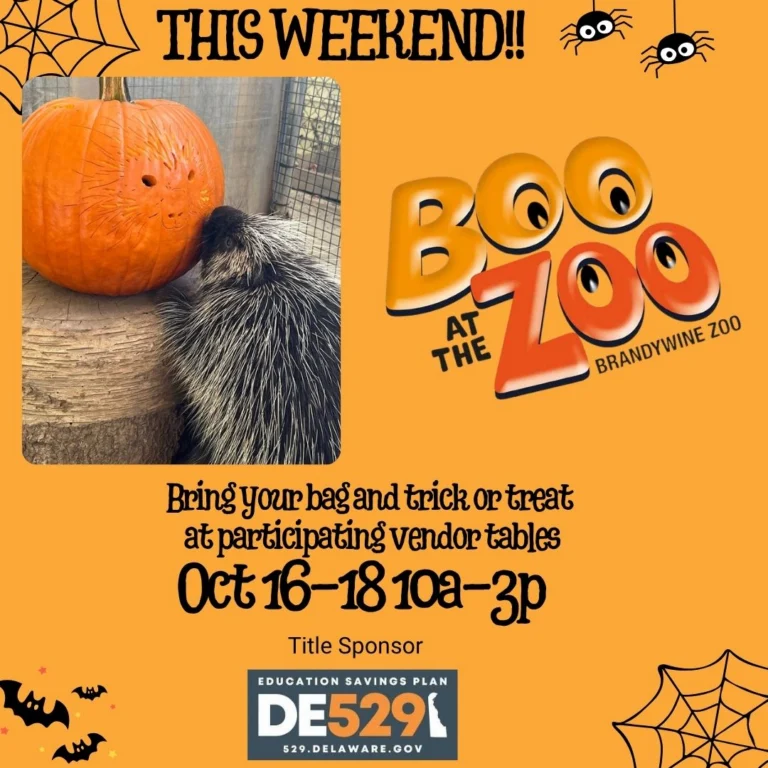 Instagram post from brandywinezoo. This post is in position 2.