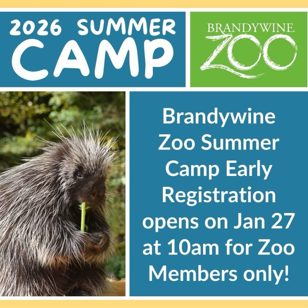 Instagram post from brandywinezoo. This post is in position 1.