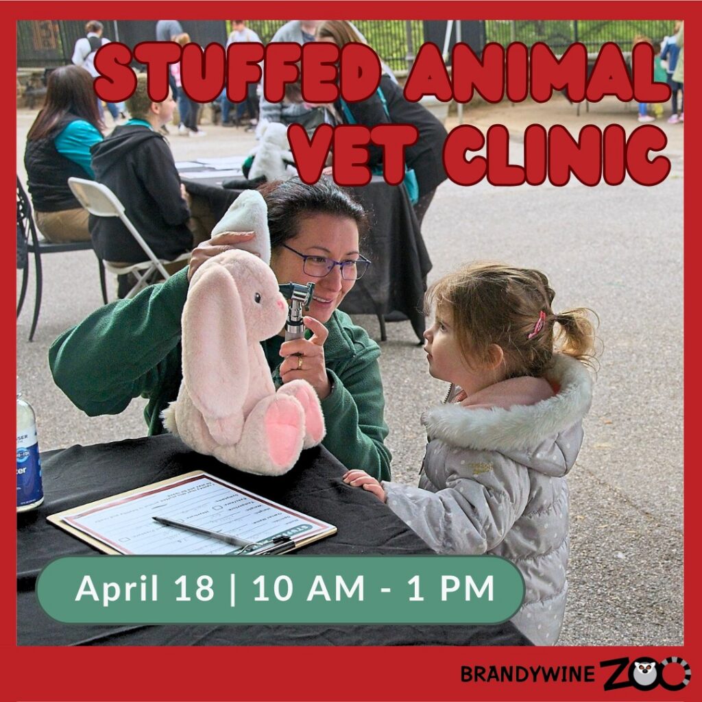 Instagram post from brandywinezoo. This post is in position 1.