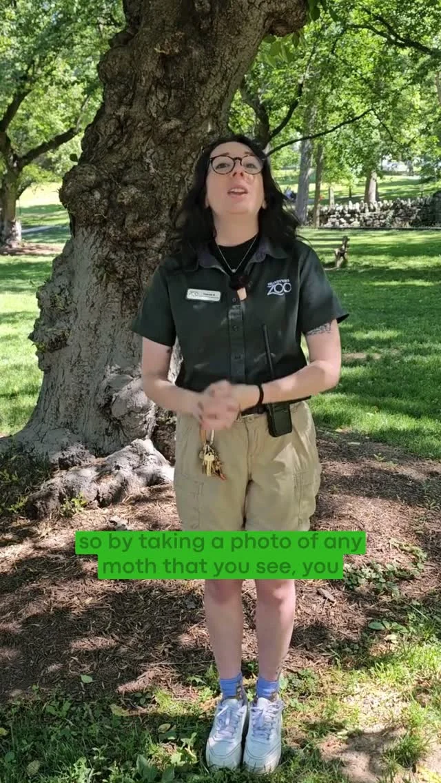 Instagram post from brandywinezoo. This post is in position 1.