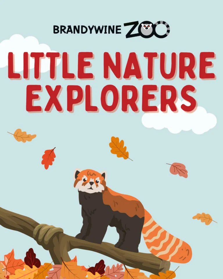Instagram post from brandywinezoo. This post is in position 1.