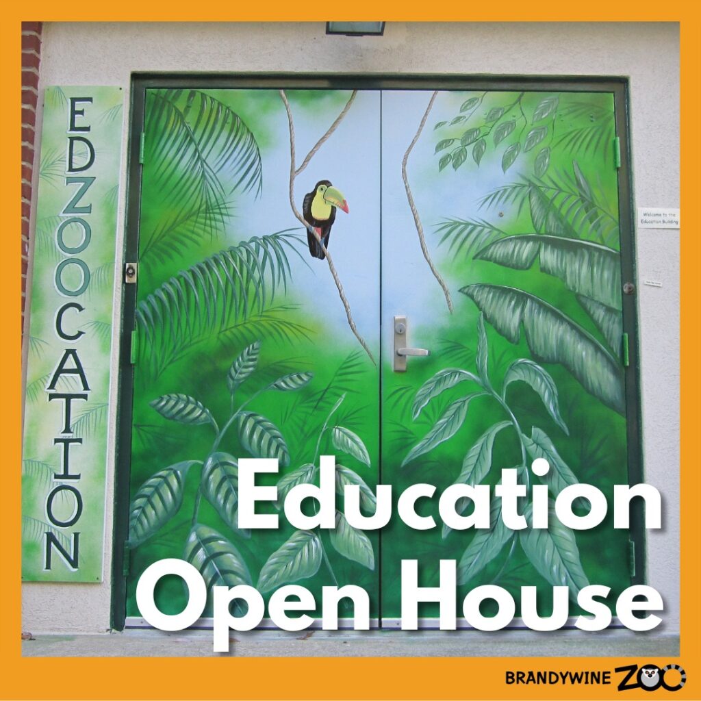 Instagram post from brandywinezoo. This post is in position 1.