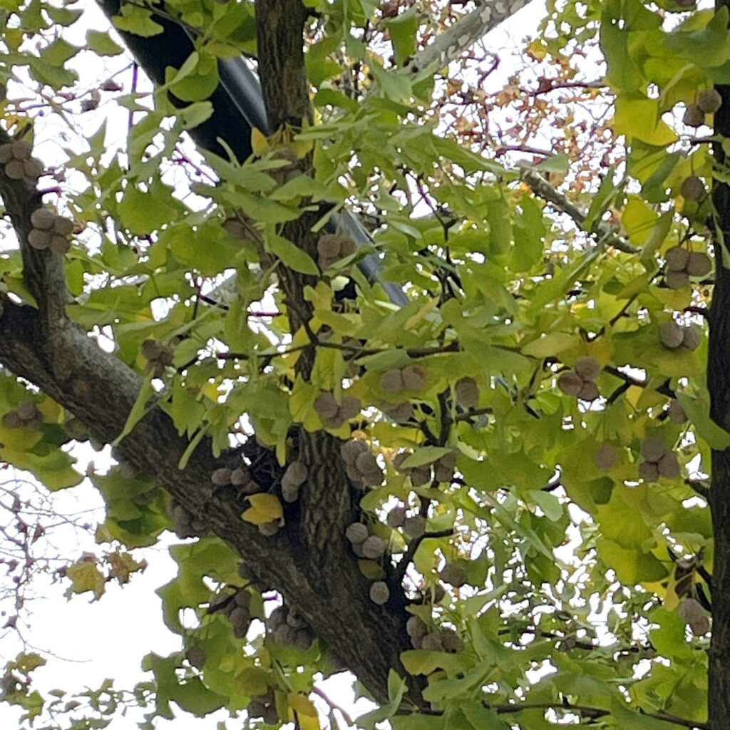 Instagram post from brandywinezoo. This post is in position 5.