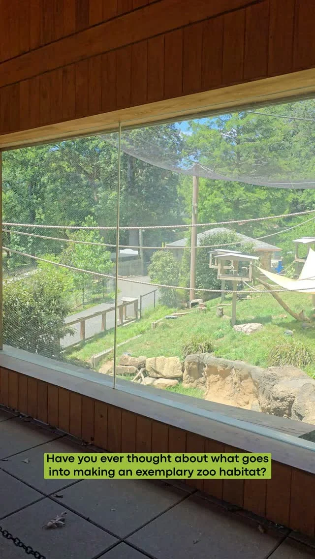 Instagram post from brandywinezoo. This post is in position 1.