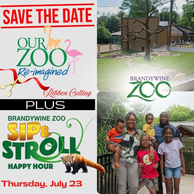 Instagram post from brandywinezoo. This post is in position 1.