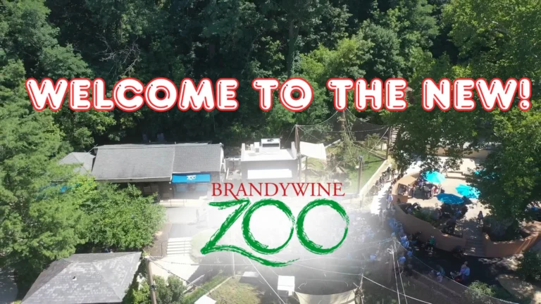 Instagram post from brandywinezoo. This post is in position 1.