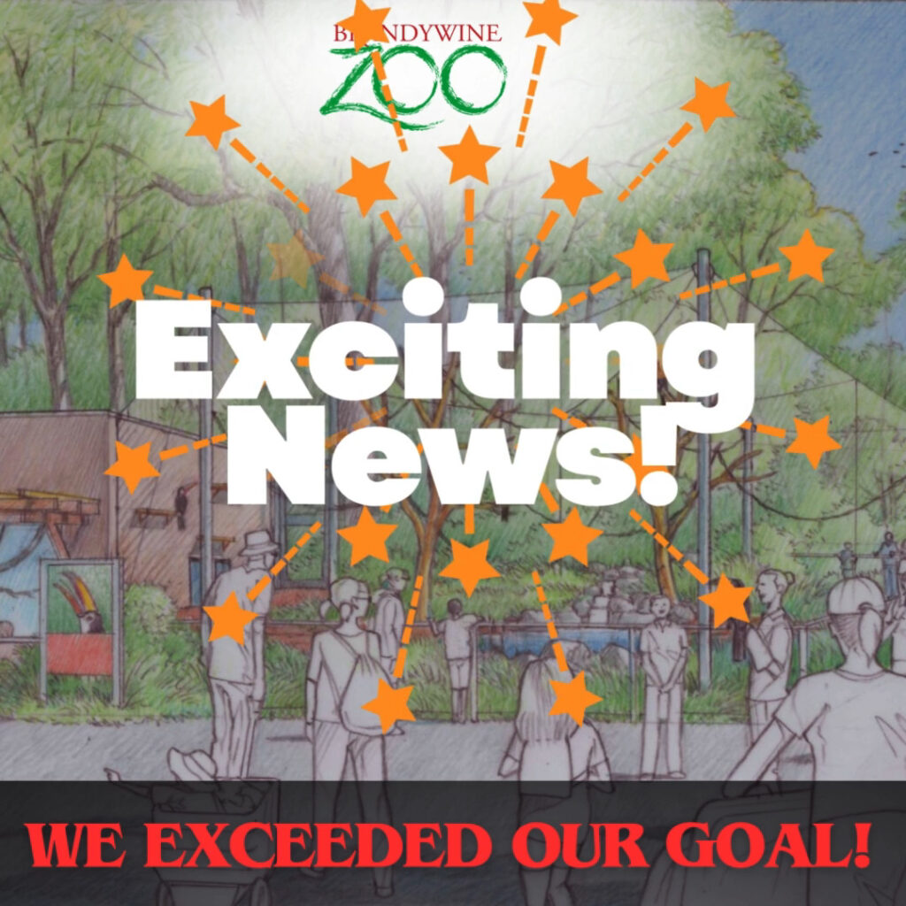 Instagram post from brandywinezoo. This post is in position 3.