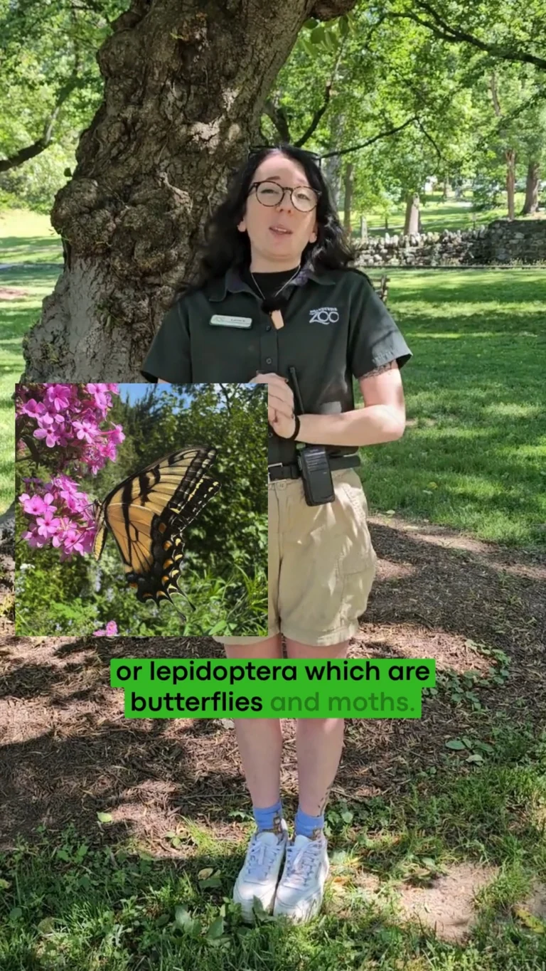 Instagram post from brandywinezoo. This post is in position 1.