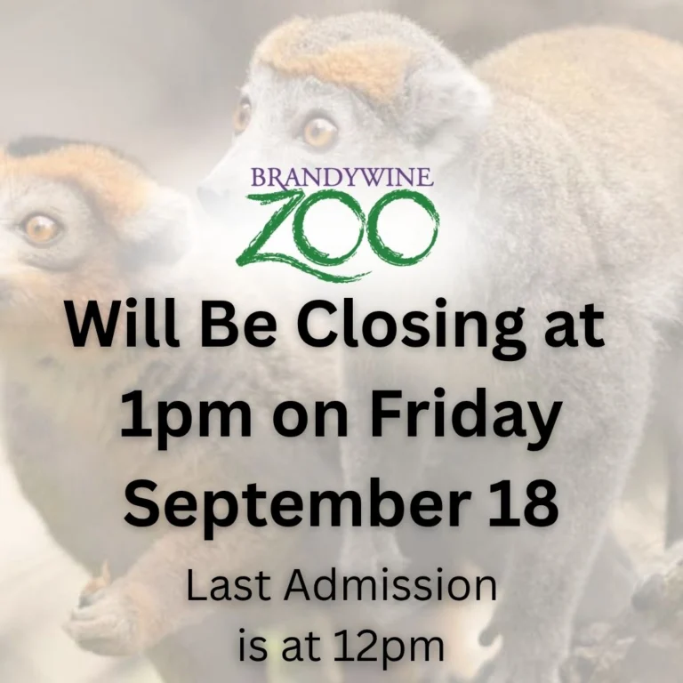 Instagram post from brandywinezoo. This post is in position 1.