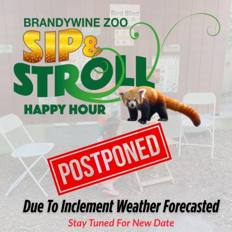 Instagram post from brandywinezoo. This post is in position 2.