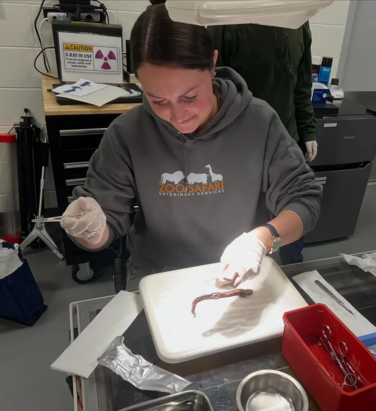 Instagram post from brandywinezoo. This post is in position 1.