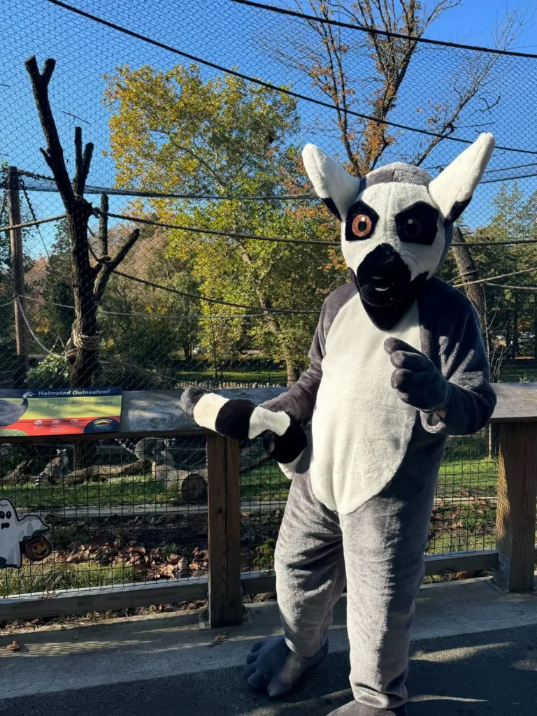 Instagram post from brandywinezoo. This post is in position 1.