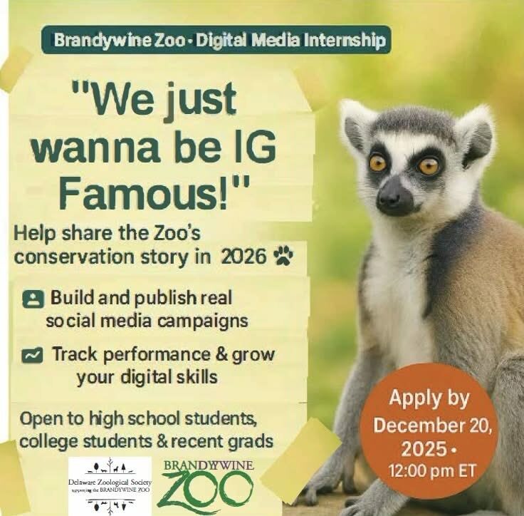 Instagram post from brandywinezoo. This post is in position 3.