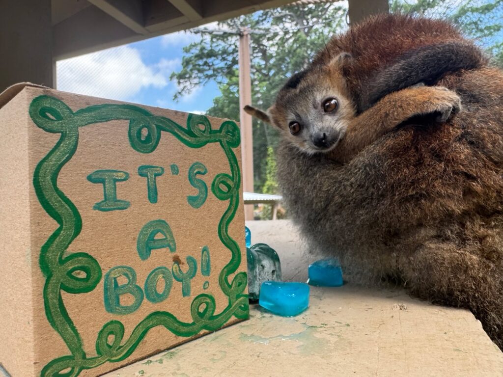 Instagram post from brandywinezoo. This post is in position 4.