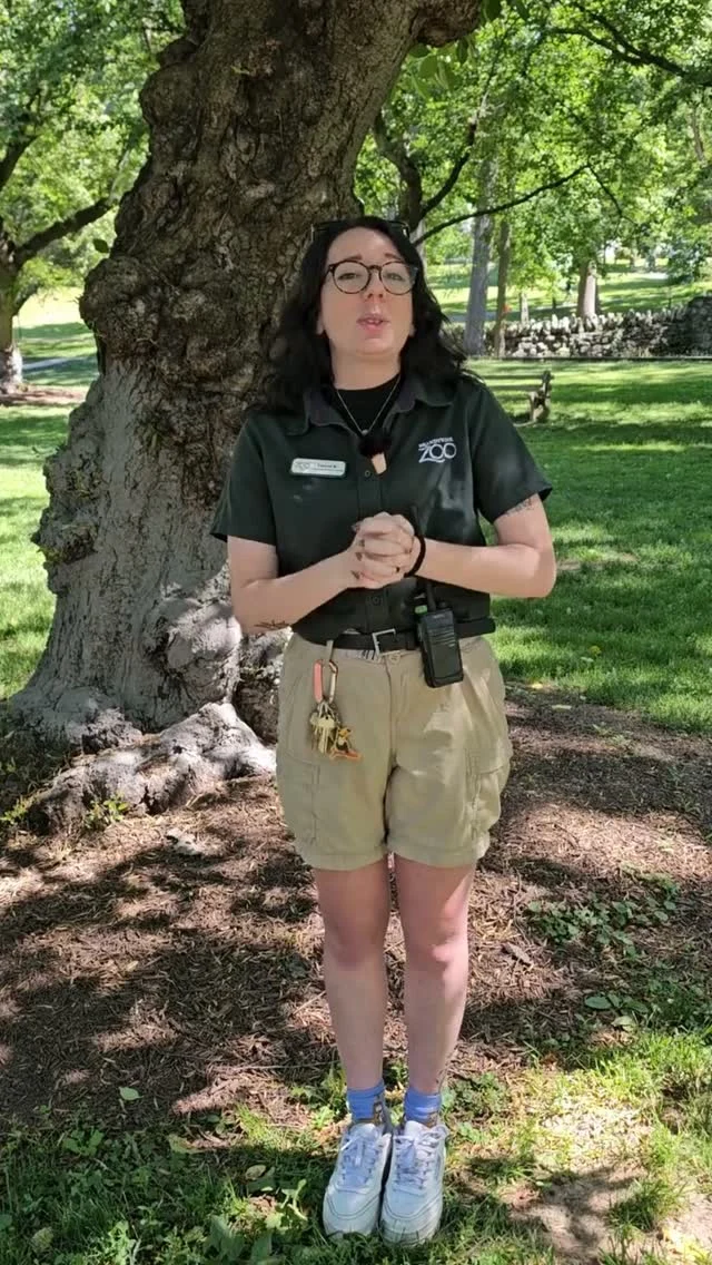 Instagram post from brandywinezoo. This post is in position 2.