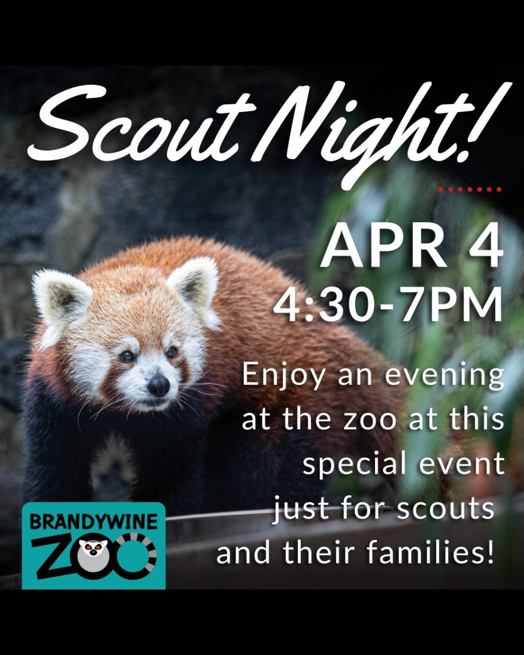 Instagram post from brandywinezoo. This post is in position 3.